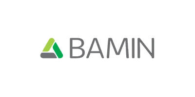 Logo Bamin